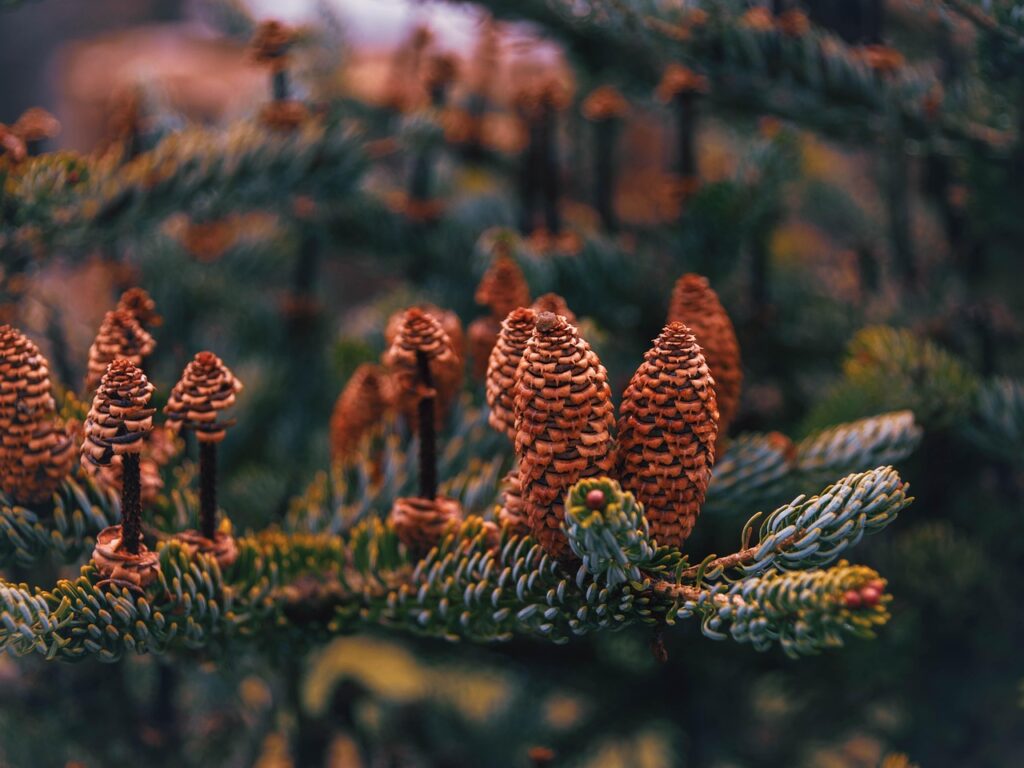 Airtableを使った無料プランの活用法は？