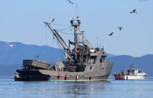 Webflowの料金プランにはどんな種類があるの？