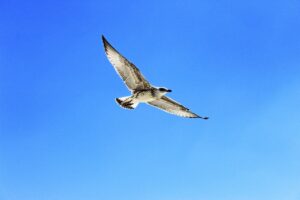 Glideでフォームを簡単に作成する方法は？