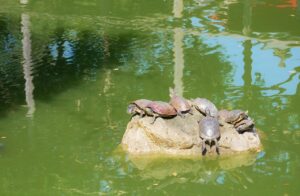 AirtableとCRMの連携方法について知っておくべきことは？