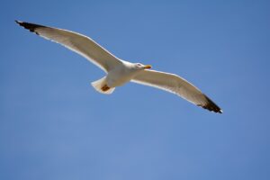 Glide API利用のメリットと活用方法は？