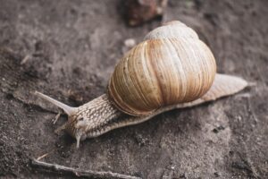 Glideでデータを同期する方法とは？