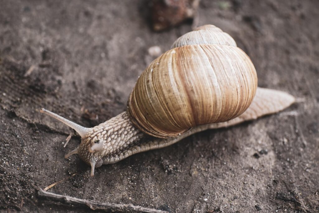 Glideを使ってWebサイトを作る際のポイントは？