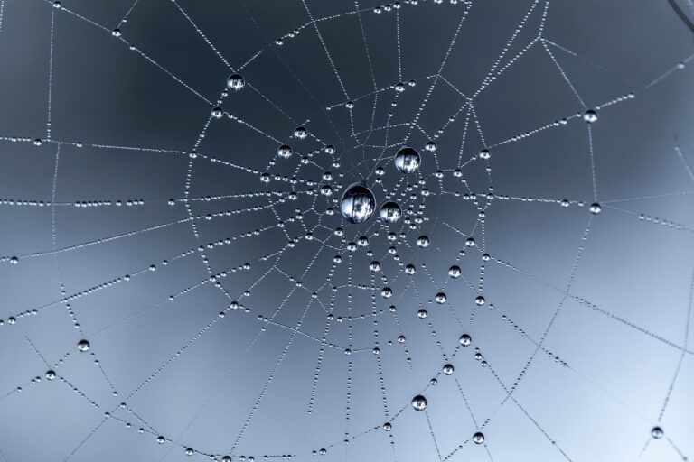 Notionで作成したWebサイトを公開する方法は？