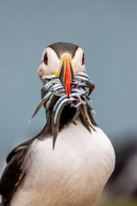 ホームページ作成に最適なノーコードツールとは？