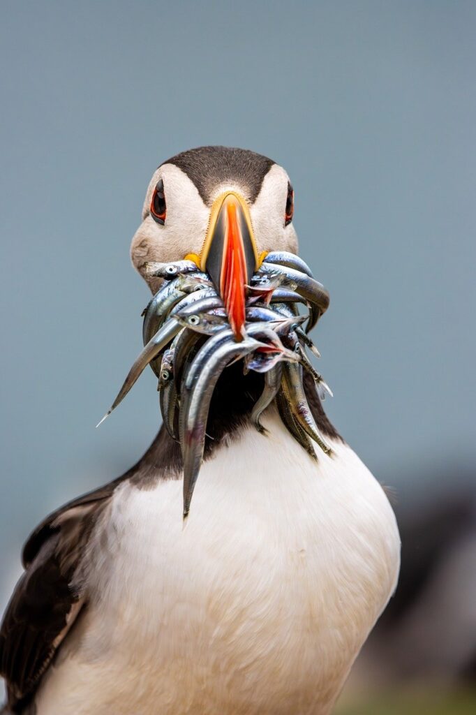 ホームページ作成に最適なノーコードツールとは？