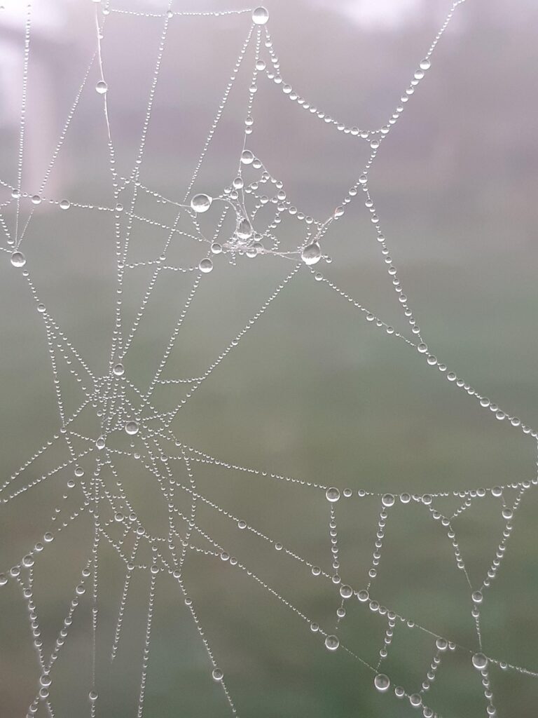 誰でも作れるWEB制作の完全ガイドとは？