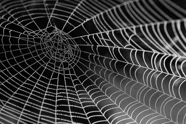 ノーコードでWEB制作を行う際の期間はどのくらいかかる？