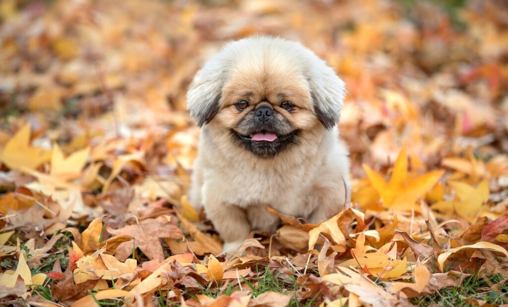 実績がない場合の案件獲得方法は？