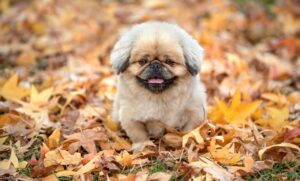 実績がない場合の案件獲得方法は？