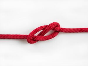 ノーコード制作の相談先はどこが最適？